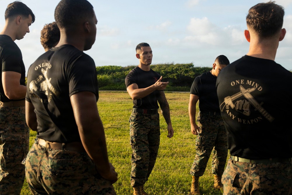 Combat Conditioning: 1st Low Altitude Air Defense Battalion Conducts MCMAP PT at MCBH