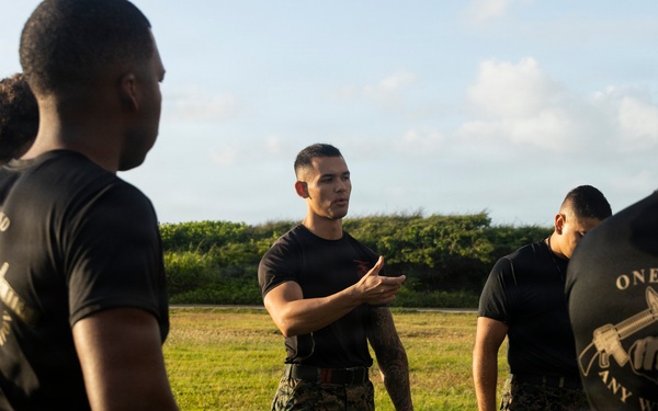 Combat Conditioning: 1st Low Altitude Air Defense Battalion Conducts MCMAP PT at MCBH