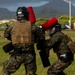 Combat Conditioning: 1st Low Altitude Air Defense Battalion Conducts MCMAP PT at MCBH
