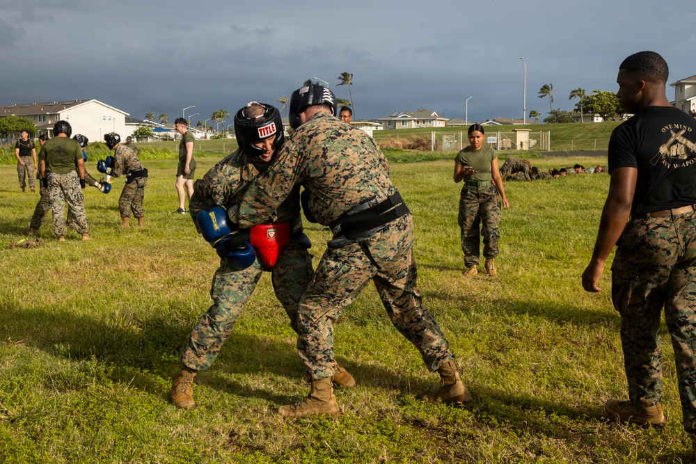 Combat Conditioning: 1st Low Altitude Air Defense Battalion Conducts MCMAP PT at MCBH