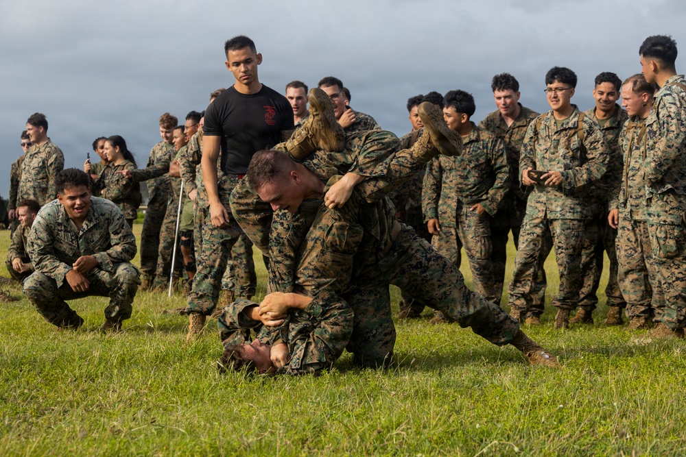 Combat Conditioning: 1st Low Altitude Air Defense Battalion Conducts MCMAP PT at MCBH