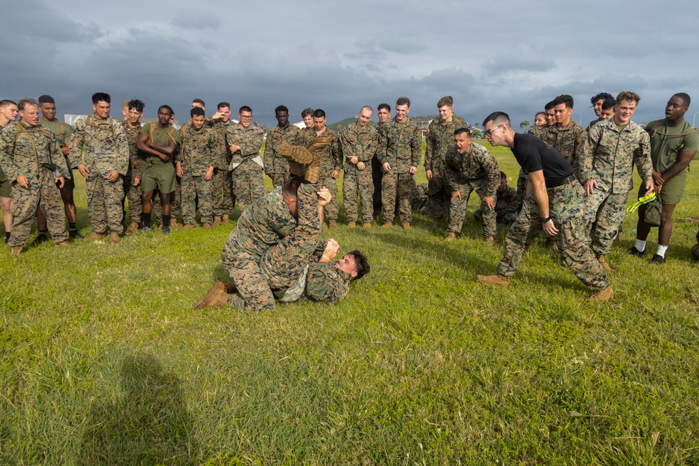 Combat Conditioning: 1st Low Altitude Air Defense Battalion Conducts MCMAP PT at MCBH