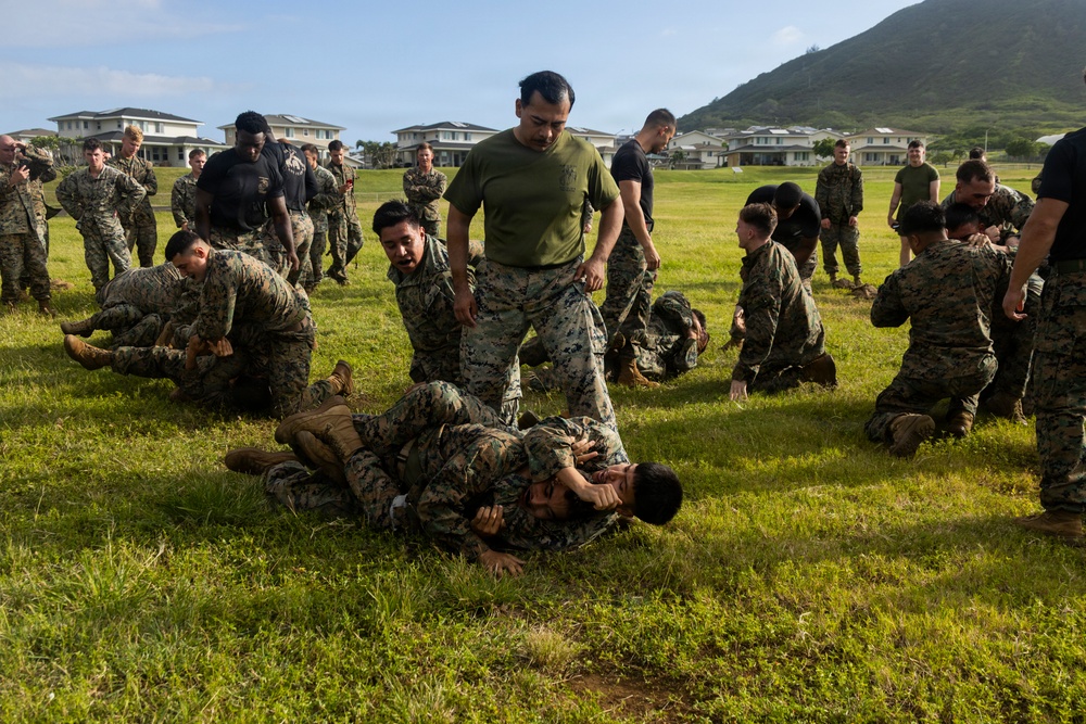 Combat Conditioning: 1st Low Altitude Air Defense Battalion Conducts MCMAP PT at MCBH