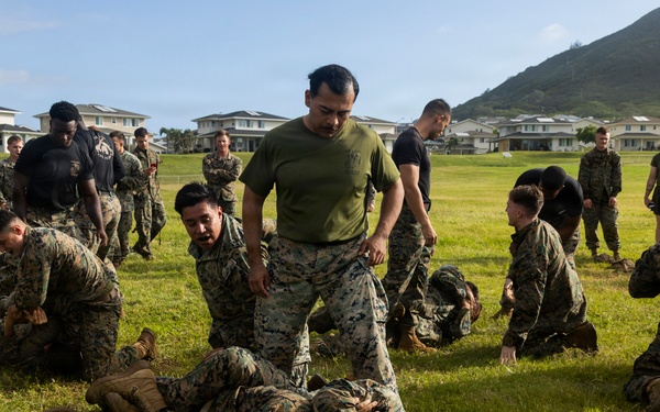 Combat Conditioning: 1st Low Altitude Air Defense Battalion Conducts MCMAP PT at MCBH
