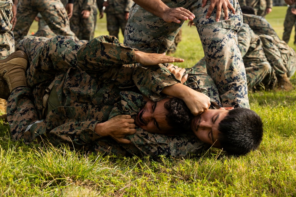 Combat Conditioning: 1st Low Altitude Air Defense Battalion Conducts MCMAP PT at MCBH