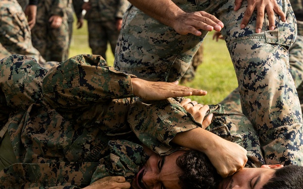 Combat Conditioning: 1st Low Altitude Air Defense Battalion Conducts MCMAP PT at MCBH