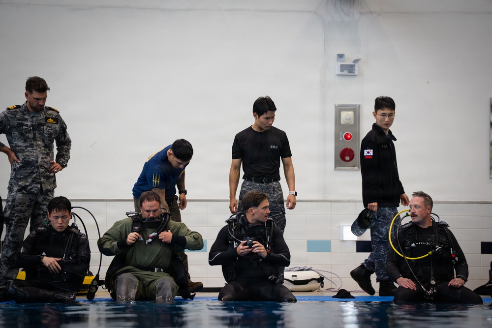 U.S., Republic of Korea, Australian Forces Conduct Joint Dive and Salvage Exercise in Jinhae