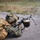U.S. Recon Marines train with Finnish weapons, boats in Finland U.S. Recon Marines train with Finnish weapons, boats in Finland