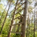Air Assault Course in GTA 2026
