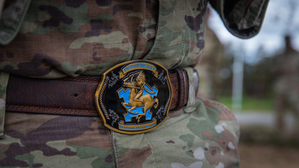Four nations participate in the 18.6-mile Norwegian Foot March in Lithuania