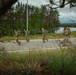 Four nations participate in the 18.6-mile Norwegian Foot March in Lithuania