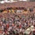 Doudou Festival, Tradition, Mons Belgium, USAG Benelux, armynewswire Doudou Festival, Tradition, Mons Belgium, USAG Benelux, armynewswire