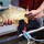 Close-up of common carp being held Close-up of common carp being held