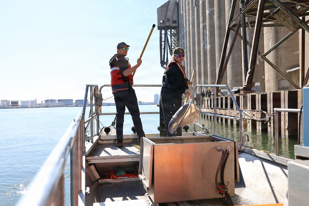Workers netting fish near industrial waterfront