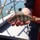 Close-up of yellow perch held in hand Close-up of yellow perch held in hand