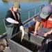 Two crew members removing fish from live well