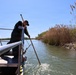 Two crew members netting fish near reed bank