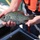 Black crappie held over live well Black crappie held over live well