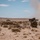African Lion 26 capstone combined field exercise kicks off in Tan-Tan African Lion 26 capstone combined field exercise kicks off in Tan-Tan