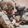 African Lion 26 capstone combined field exercise kicks off in Tan-Tan African Lion 26 capstone combined field exercise kicks off in Tan-Tan