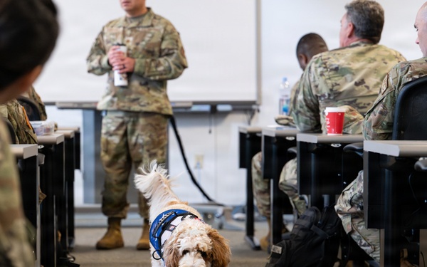 Luna, Air Force Mortuary Affairs Operations therapy dog