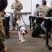Luna, Air Force Mortuary Affairs Operations therapy dog