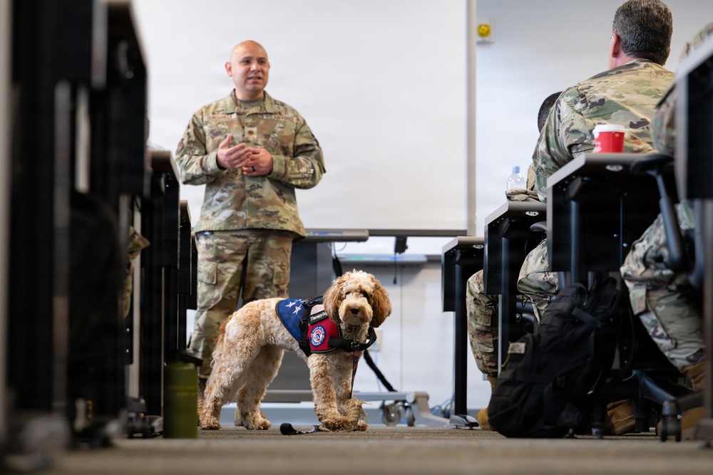 Luna, Air Force Mortuary Affairs Operations therapy dog