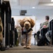 Luna, Air Force Mortuary Affairs Operations therapy dog