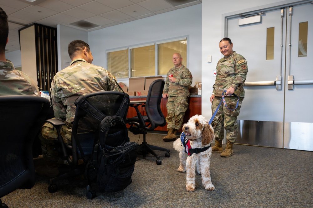 Luna, Air Force Mortuary Affairs Operations therapy dog
