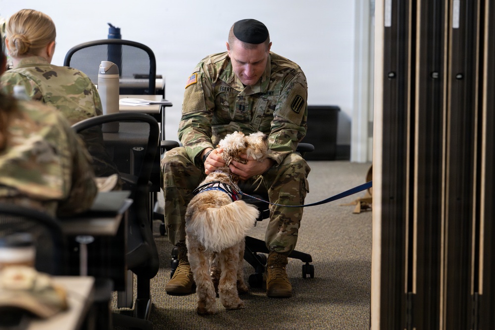 Luna, Air Force Mortuary Affairs Operations therapy dog
