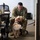 Luna, Air Force Mortuary Affairs Operations therapy dog Luna, Air Force Mortuary Affairs Operations therapy dog