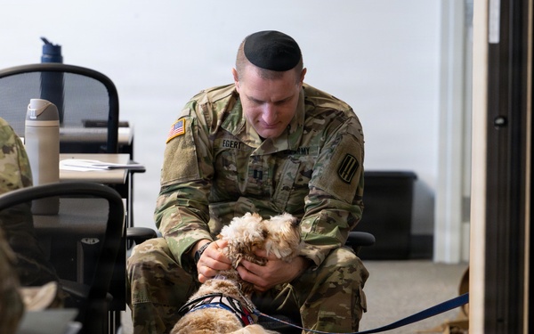 Luna, Air Force Mortuary Affairs Operations therapy dog