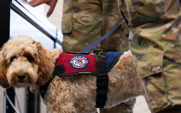 Luna, Air Force Mortuary Affairs Operations therapy dog