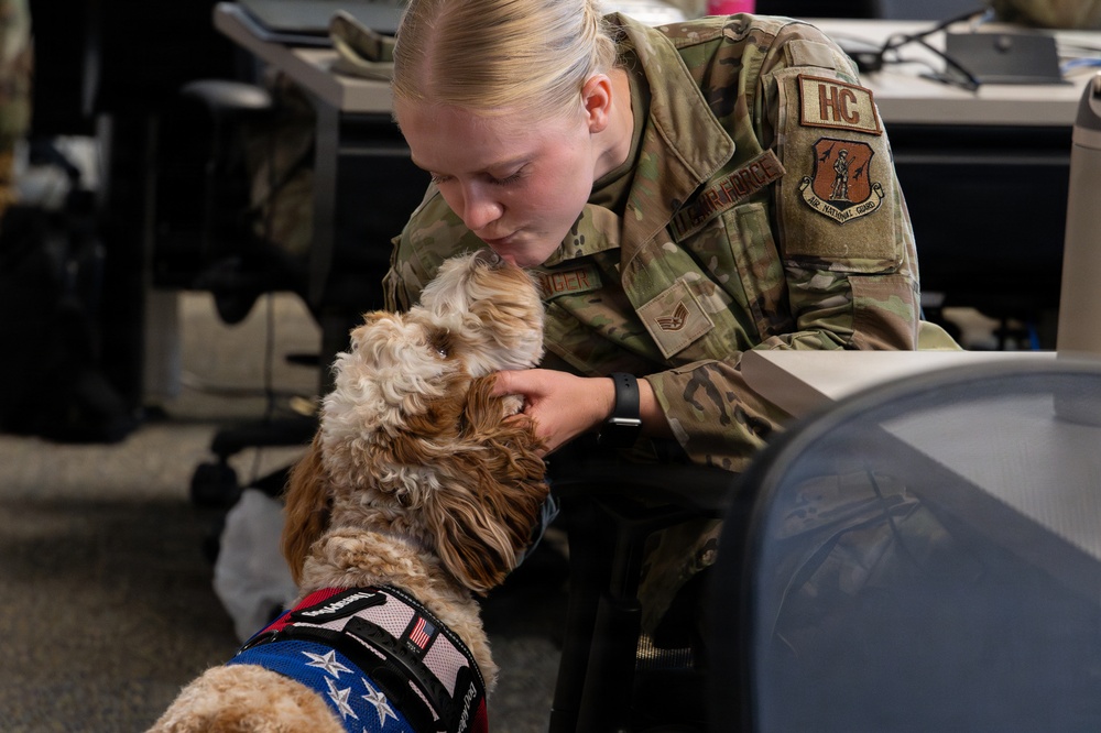 Luna, Air Force Mortuary Affairs Operations therapy dog