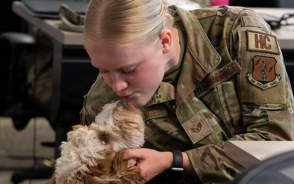 Luna, Air Force Mortuary Affairs Operations therapy dog