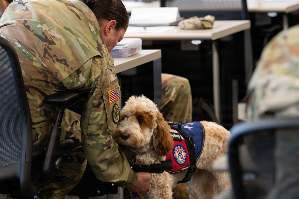 Luna, Air Force Mortuary Affairs Operations therapy dog