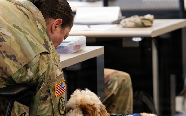 Luna, Air Force Mortuary Affairs Operations therapy dog