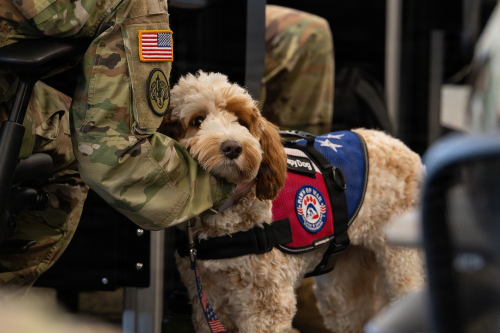 Luna, Air Force Mortuary Affairs Operations therapy dog