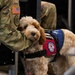 Luna, Air Force Mortuary Affairs Operations therapy dog