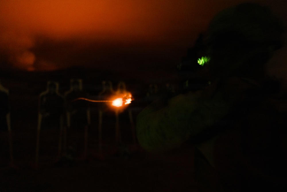 1st Intelligence Battalion conducts tactical exercise