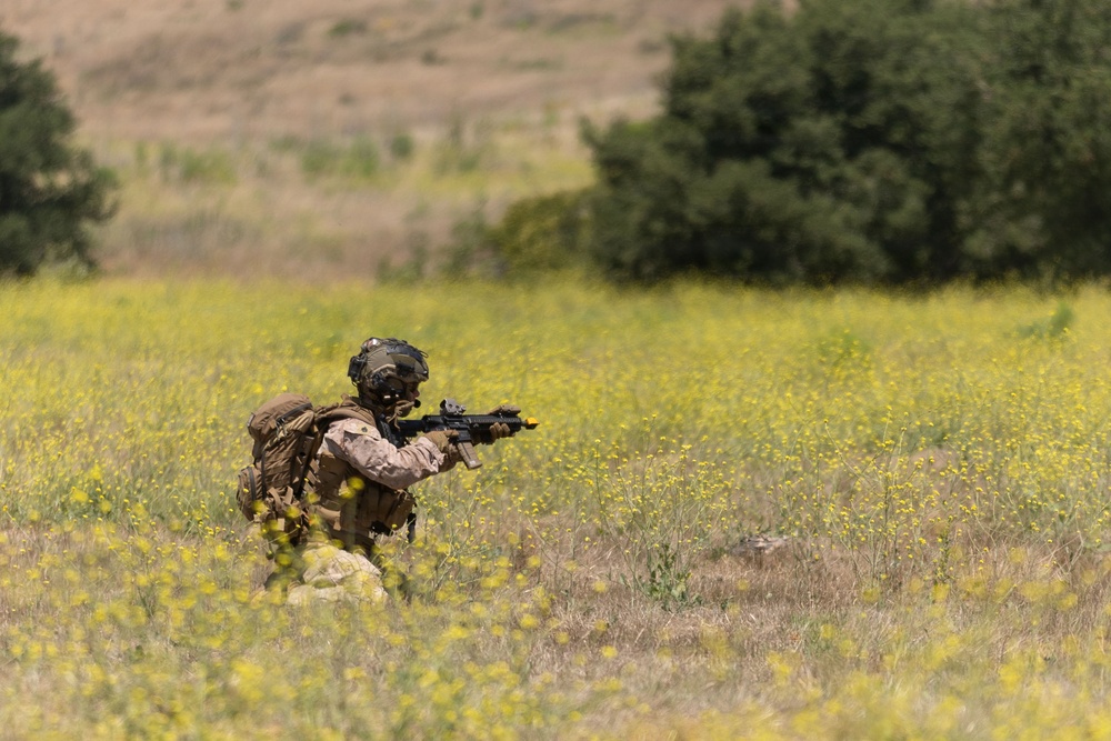 Marines with V2/5 conduct EOTG TRAP course