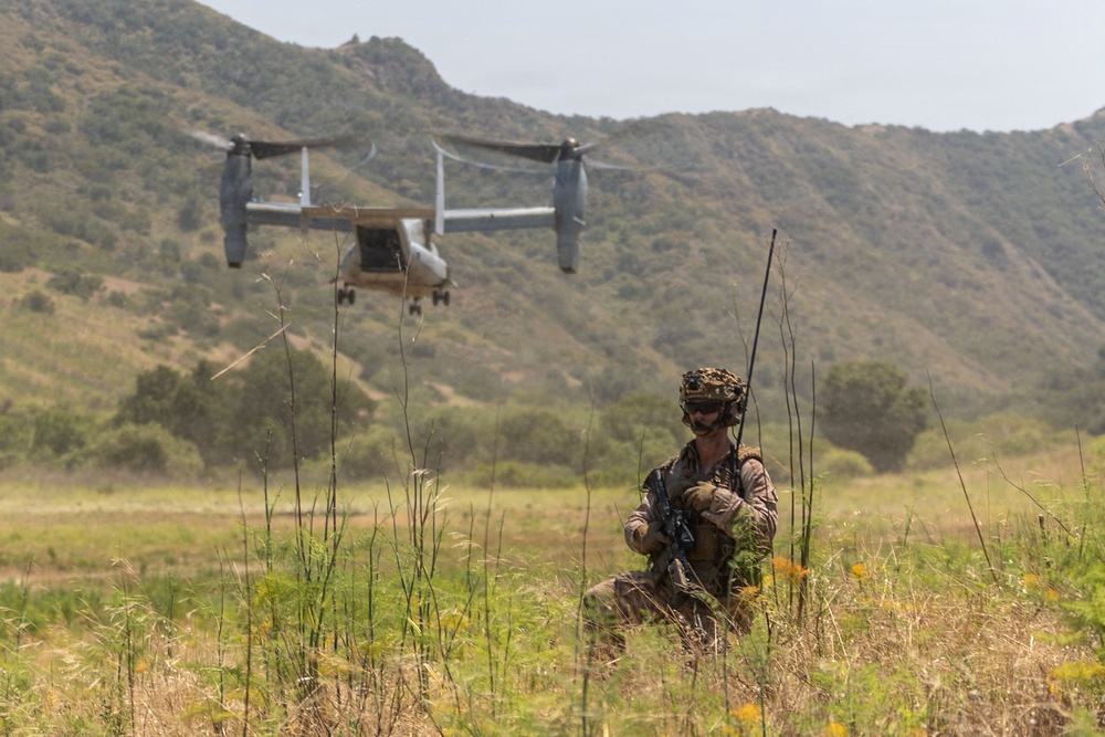 Marines with V2/5 conduct EOTG TRAP course
