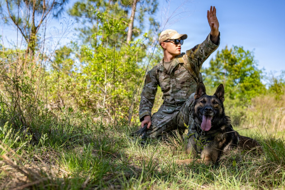 Training to survive: Moody Airmen sharpen personnel recovery skills