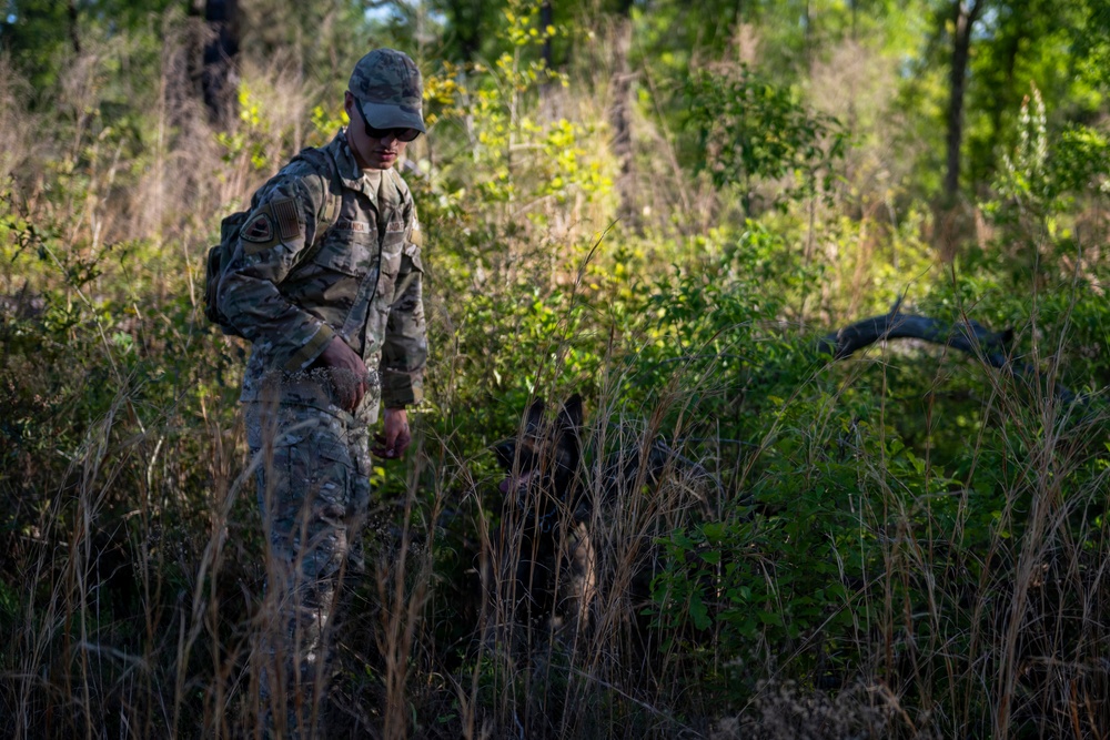 Training to survive: Moody Airmen sharpen personnel recovery skills