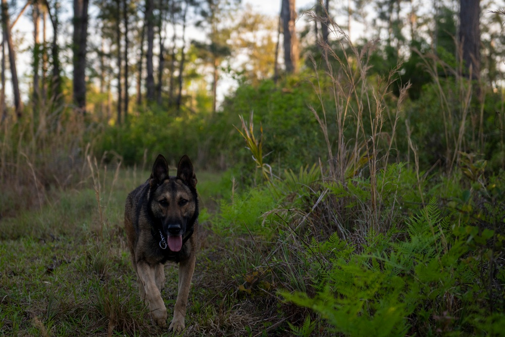 Training to survive: Moody Airmen sharpen personnel recovery skills