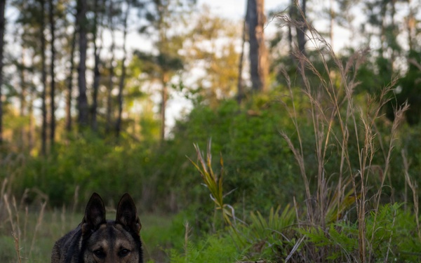Training to survive: Moody Airmen sharpen personnel recovery skills