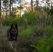 Training to survive: Moody Airmen sharpen personnel recovery skills