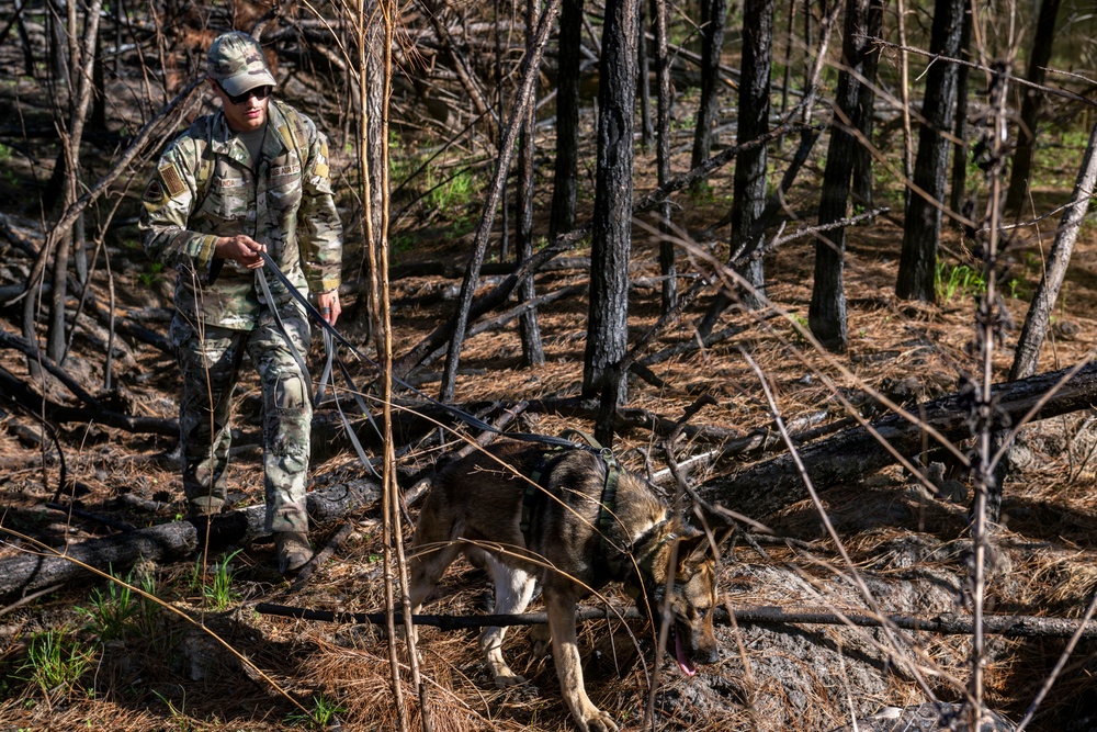 Training to survive: Moody Airmen sharpen personnel recovery skills