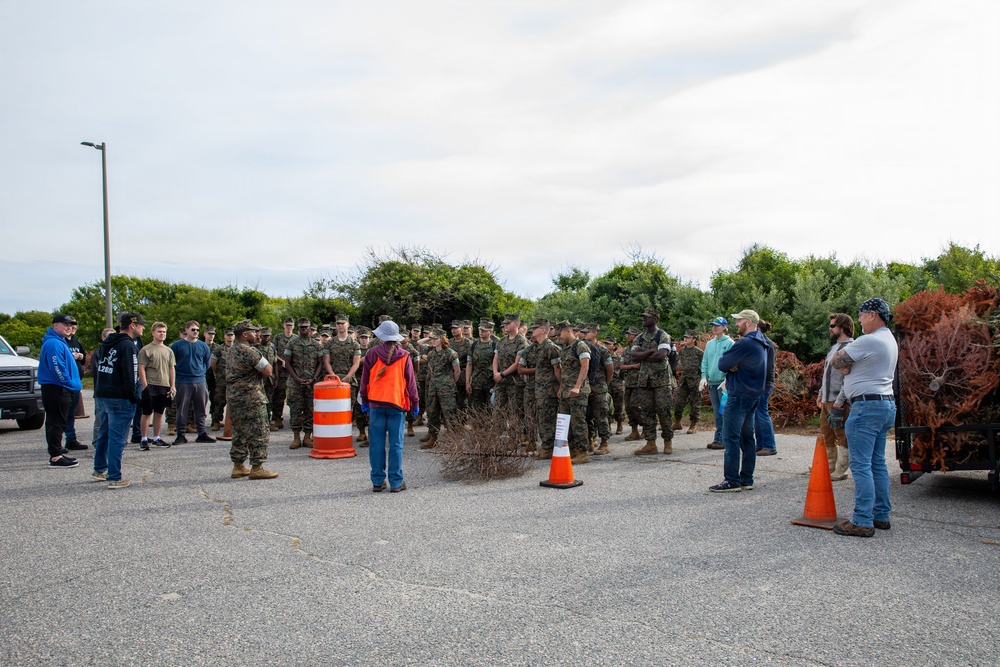 Sailors, Marines and civilians across Hampton Roads help restore Dam Neck Annex coastline
