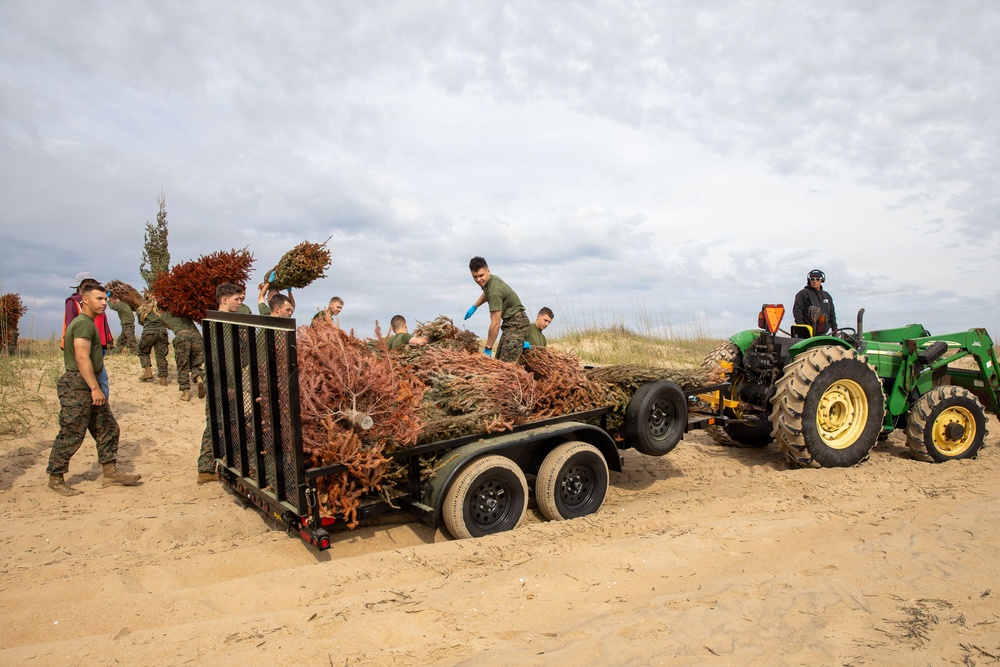 Sailors, Marines and civilians across Hampton Roads help restore Dam Neck Annex coastline